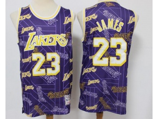 Los Angeles Lakers #23 Lebron James HWC Tear Up Pack Swingman Jersey Purple