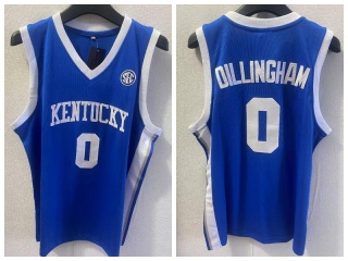Kentucky Wildcats #0 Rob Dillingham Jersey Blue