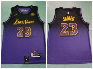 Los Angeles Lakers #23 Lebron James 2024-25 City Edition Jersey Purple